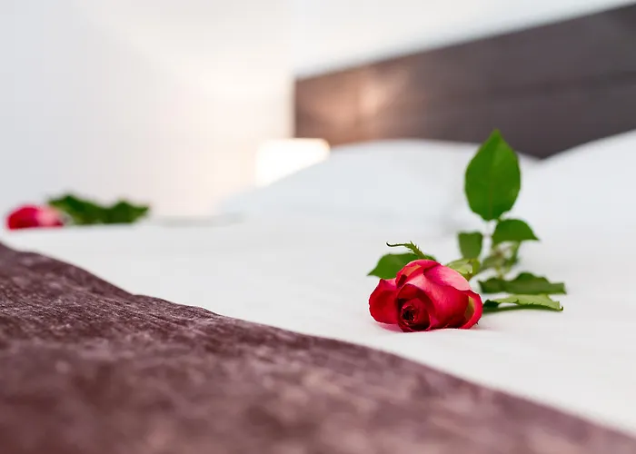 Starlight Luxury Pensjonat