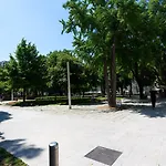 Starlight Luxury 4*