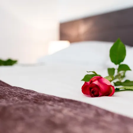 스타라이트 럭셔리 룸스 게스트하우스