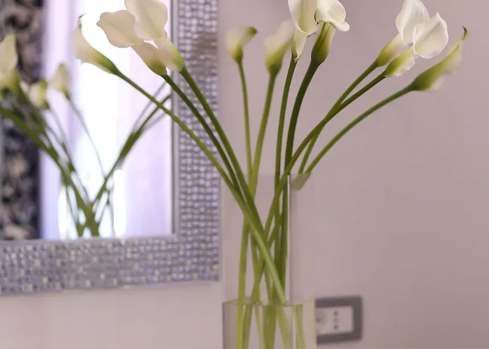 Starlight Luxury Spalato